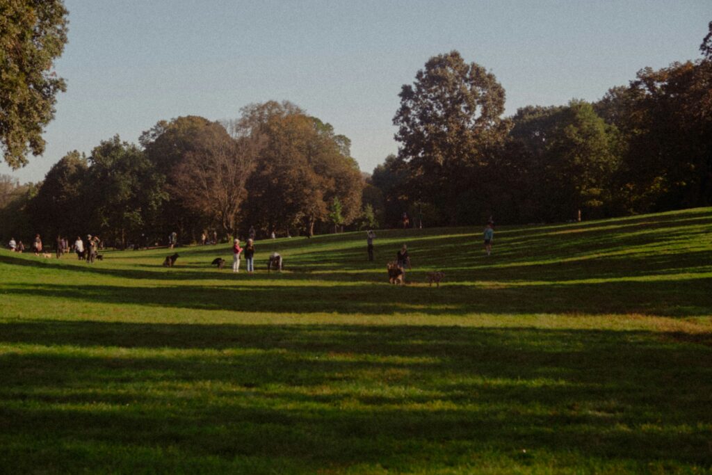 hibák elkerülése táborszervezés során – tábori előkészületek a Zango táborhelyen